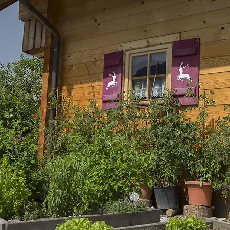 Naturdorf Oberkuehnreit Neukirchen am Großvenediger Room photo